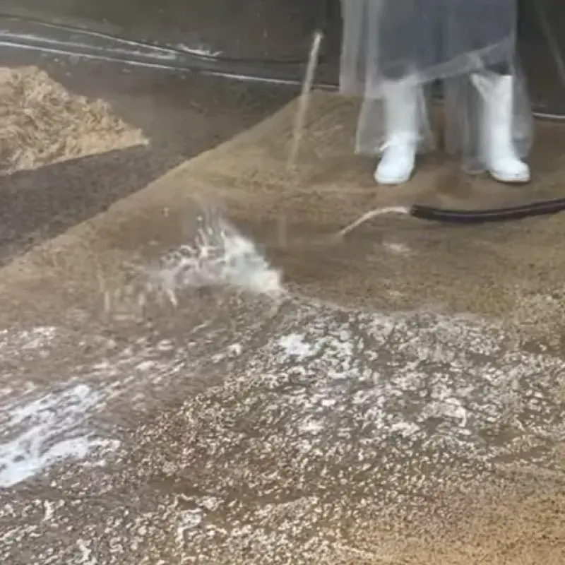 video do youtube kdInSJl05Ds